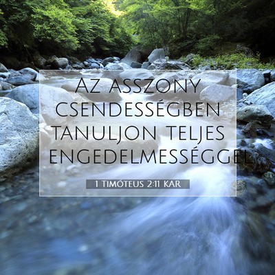 Picture 07 - 1 Timóteus 2:11 KAR - Az asszony csendességben tanuljon teljes - Bible Verse Picture