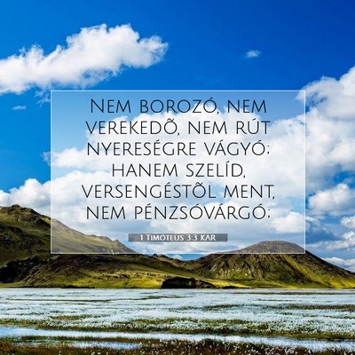Picture 07 - 1 Timóteus 3:3 KAR - Nem borozó, nem verekedõ, nem rút nyereségre - Bible Verse Picture