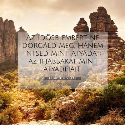 Picture 07 - 1 Timóteus 5:1 KAR - Az idõsb embert ne dorgáld meg, hanem intsed - Bible Verse Picture