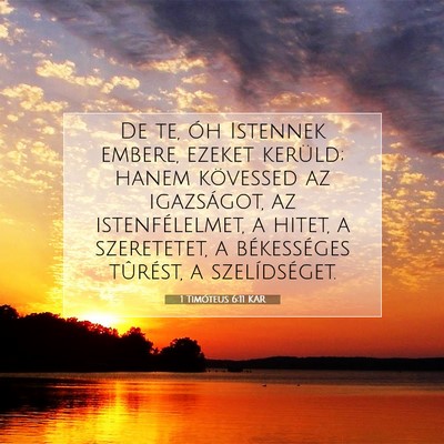 Picture 07 - 1 Timóteus 6:11 KAR - De te, óh Istennek embere, ezeket kerüld; hanem - Bible Verse Picture