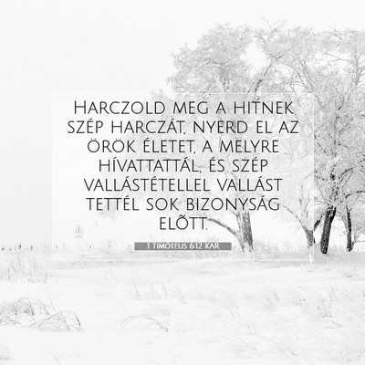Picture 07 - 1 Timóteus 6:12 KAR - Harczold meg a hitnek szép harczát, nyerd el az - Bible Verse Picture