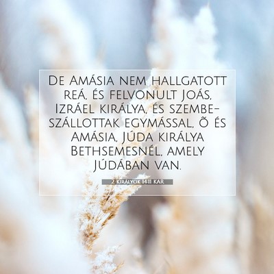 Picture 07 - 2 Királyok 14:11 KAR - De Amásia nem hallgatott reá, és felvonult - Bible Verse Picture