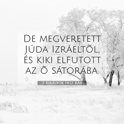 Picture 07 - 2 Királyok 14:12 KAR - De megveretett Júda Izráeltõl, és kiki - Bible Verse Picture