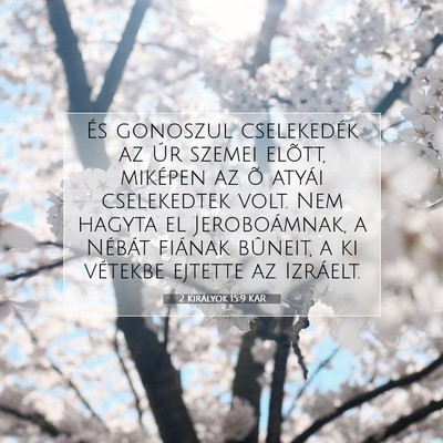 Picture 07 - 2 Királyok 15:9 KAR - És gonoszul cselekedék az Úr szemei elõtt, - Bible Verse Picture