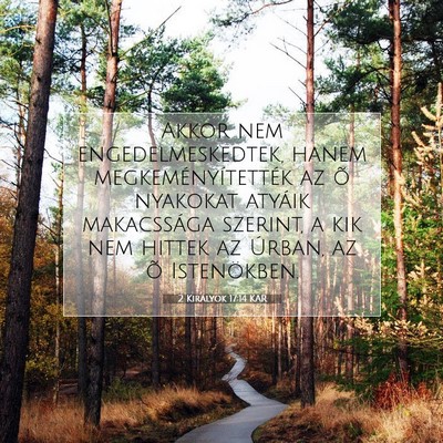 Picture 07 - 2 Királyok 17:14 KAR - Akkor nem engedelmeskedtek, hanem - Bible Verse Picture