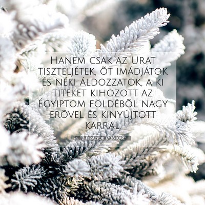 Picture 07 - 2 Királyok 17:36 KAR - Hanem csak az Urat tiszteljétek, õt imádjátok - Bible Verse Picture