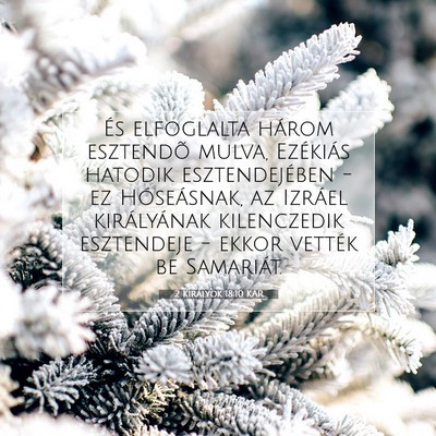 Picture 07 - 2 Királyok 18:10 KAR - És elfoglalta három esztendõ mulva, Ezékiás - Bible Verse Picture