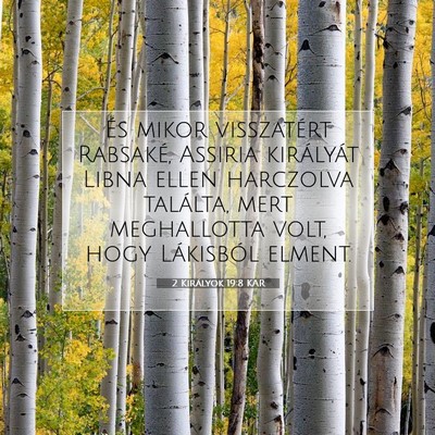 Picture 07 - 2 Királyok 19:8 KAR - És mikor visszatért Rabsaké, Assiria - Bible Verse Picture