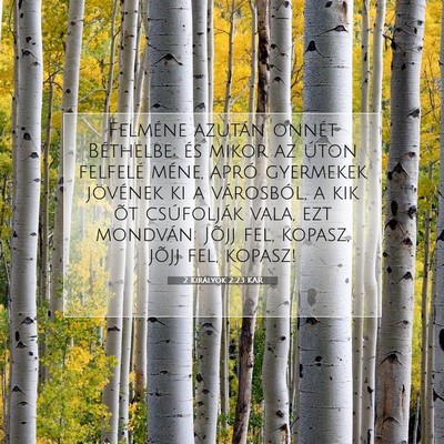 Picture 07 - 2 Királyok 2:23 KAR - Felméne azután onnét Béthelbe; és mikor az - Bible Verse Picture