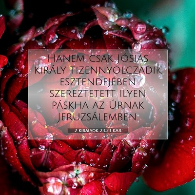 Picture 07 - 2 Királyok 23:23 KAR - Hanem csak Jósiás király tizennyolczadik - Bible Verse Picture