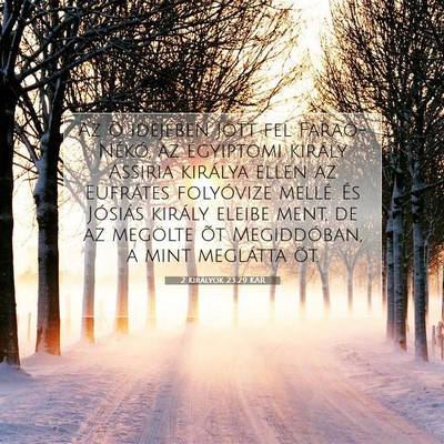 Picture 07 - 2 Királyok 23:29 KAR - Az õ idejében jött fel Faraó-Nékó, az - Bible Verse Picture