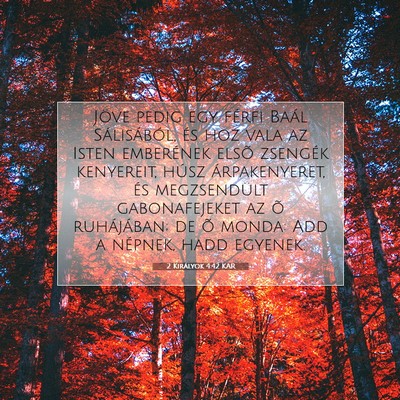 Picture 07 - 2 Királyok 4:42 KAR - Jöve pedig egy férfi Baál Sálisából, és - Bible Verse Picture