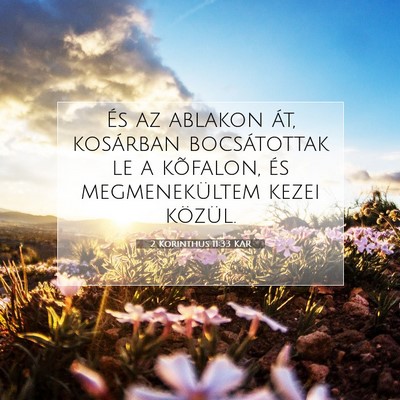 Picture 07 - 2 Korinthus 11:33 KAR - És az ablakon át, kosárban bocsátottak le a - Bible Verse Picture