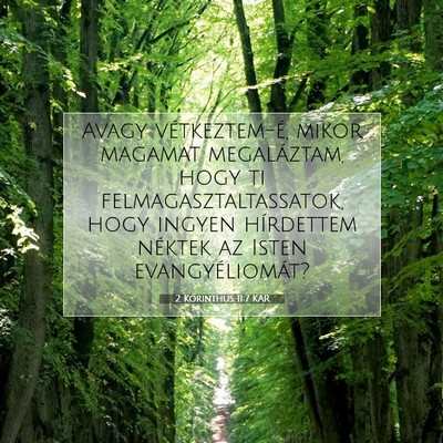 Picture 07 - 2 Korinthus 11:7 KAR - Avagy vétkeztem-é, mikor magamat megaláztam, - Bible Verse Picture