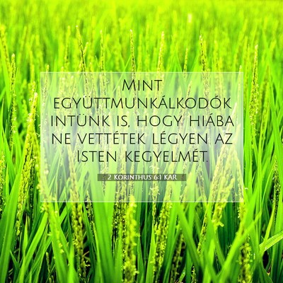 Picture 07 - 2 Korinthus 6:1 KAR - Mint együttmunkálkodók intünk is, hogy hiába - Bible Verse Picture
