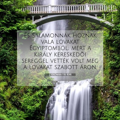 Picture 07 - 2 Krónika 1:16 KAR - És Salamonnak hoznak vala lovakat Égyiptomból; - Bible Verse Picture