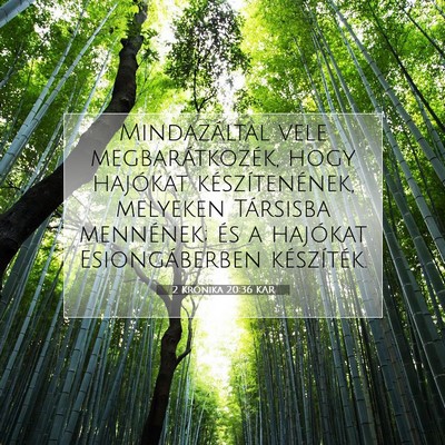 Picture 07 - 2 Krónika 20:36 KAR - Mindazáltal vele megbarátkozék, hogy hajókat - Bible Verse Picture