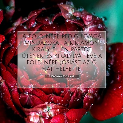 Picture 07 - 2 Krónika 33:25 KAR - A föld népe pedig levágá mindazokat, a kik - Bible Verse Picture