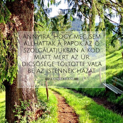 Picture 07 - 2 Krónika 5:14 KAR - Annyira, hogy meg sem állhattak a papok az õ - Bible Verse Picture