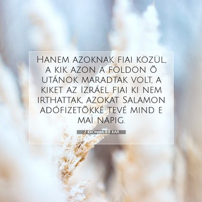 Picture 07 - 2 Krónika 8:8 KAR - Hanem azoknak fiai közül, a kik azon a földön - Bible Verse Picture