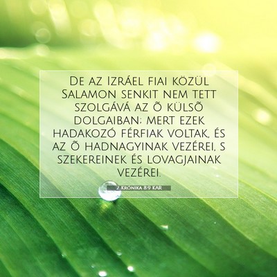 Picture 07 - 2 Krónika 8:9 KAR - De az Izráel fiai közül Salamon senkit nem - Bible Verse Picture