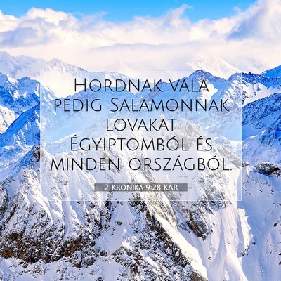 Picture 07 - 2 Krónika 9:28 KAR - Hordnak vala pedig Salamonnak lovakat - Bible Verse Picture