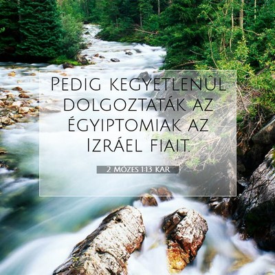 Picture 07 - 2 Mózes 1:13 KAR - Pedig kegyetlenûl dolgoztaták az égyiptomiak - Bible Verse Picture