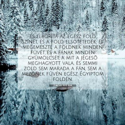 Picture 07 - 2 Mózes 10:15 KAR - És elborítá az egész föld színét, és a - Bible Verse Picture