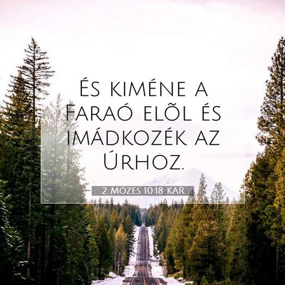 Picture 07 - 2 Mózes 10:18 KAR - És kiméne a Faraó elõl és imádkozék az - Bible Verse Picture