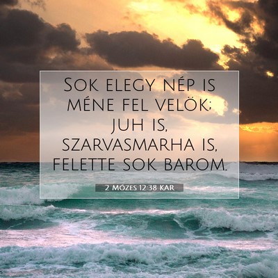 Picture 07 - 2 Mózes 12:38 KAR - Sok elegy nép is méne fel velök; juh is, - Bible Verse Picture