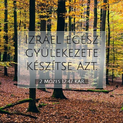 Picture 07 - 2 Mózes 12:47 KAR - Izráel egész gyülekezete készítse - Bible Verse Picture
