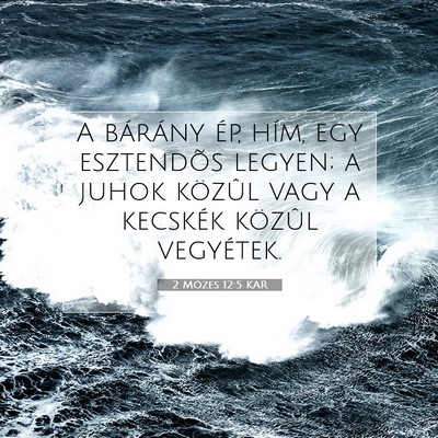 Picture 07 - 2 Mózes 12:5 KAR - A bárány ép, hím, egy esztendõs legyen; a - Bible Verse Picture