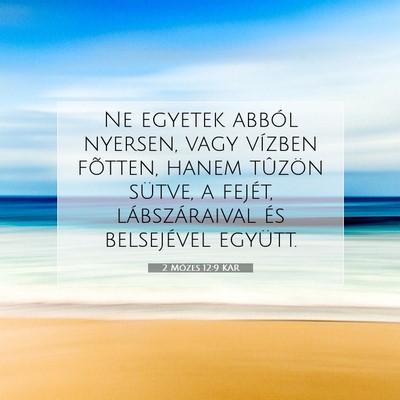 Picture 07 - 2 Mózes 12:9 KAR - Ne egyetek abból nyersen, vagy vízben fõtten, - Bible Verse Picture