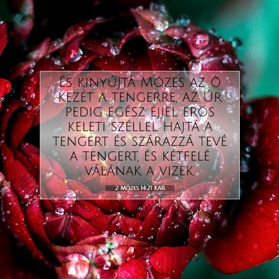 Picture 07 - 2 Mózes 14:21 KAR - És kinyújtá Mózes az õ kezét a tengerre, az - Bible Verse Picture