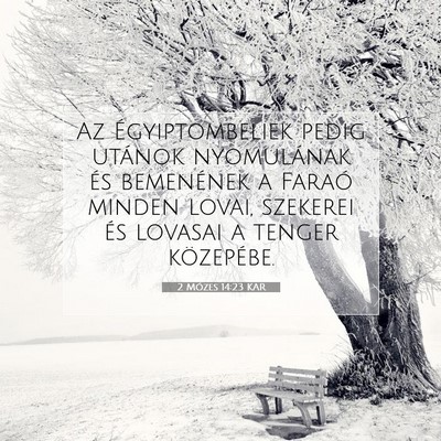 Picture 07 - 2 Mózes 14:23 KAR - Az Égyiptombeliek pedig utánok nyomulának és - Bible Verse Picture
