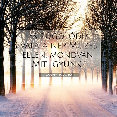 Picture 07 - 2 Mózes 15:24 KAR - És zúgolódik vala a nép Mózes ellen, - Bible Verse Picture