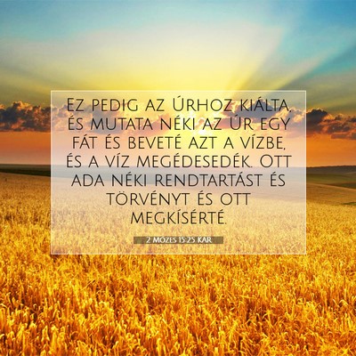 Picture 07 - 2 Mózes 15:25 KAR - Ez pedig az Úrhoz kiálta, és mutata néki az - Bible Verse Picture