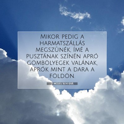 Picture 07 - 2 Mózes 16:14 KAR - Mikor pedig a harmatszállás megszûnék, ímé - Bible Verse Picture