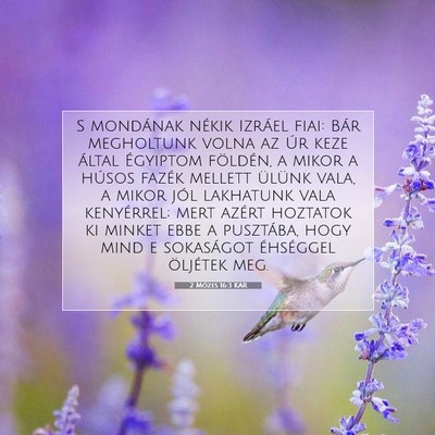 Picture 07 - 2 Mózes 16:3 KAR - S mondának nékik Izráel fiai: Bár megholtunk - Bible Verse Picture