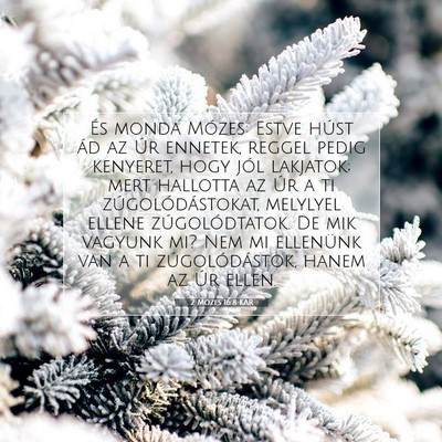 Picture 07 - 2 Mózes 16:8 KAR - És monda Mózes: Estve húst ád az Úr ennetek, - Bible Verse Picture