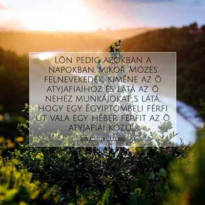 Picture 07 - 2 Mózes 2:11 KAR - Lõn pedig azokban a napokban, mikor Mózes - Bible Verse Picture
