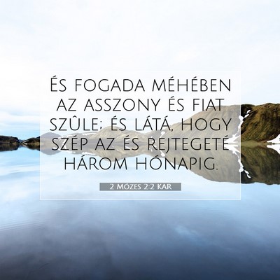 Picture 07 - 2 Mózes 2:2 KAR - És fogada méhében az asszony és fiat szûle; - Bible Verse Picture