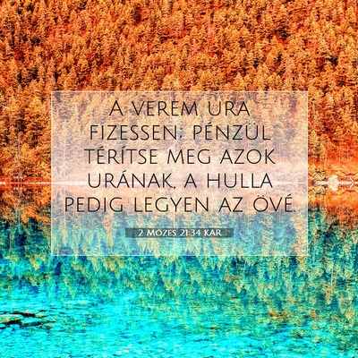 Picture 07 - 2 Mózes 21:34 KAR - A verem ura fizessen; pénzül térítse meg azok - Bible Verse Picture