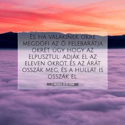 Picture 07 - 2 Mózes 21:35 KAR - És ha valakinek ökre megdöfi az õ - Bible Verse Picture