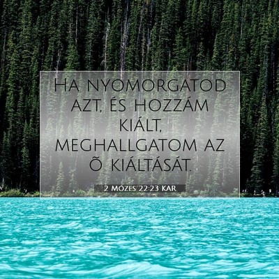 Picture 07 - 2 Mózes 22:23 KAR - Ha nyomorgatod azt, és hozzám kiált, - Bible Verse Picture