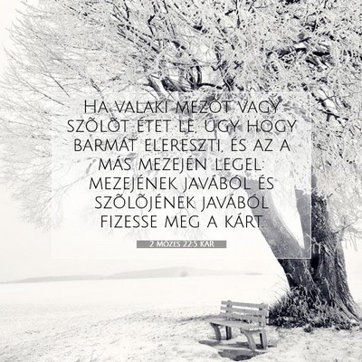Picture 07 - 2 Mózes 22:5 KAR - Ha valaki mezõt vagy szõlõt étet le, úgy - Bible Verse Picture