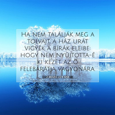 Picture 07 - 2 Mózes 22:8 KAR - Ha nem találják meg a tolvajt, a ház urát - Bible Verse Picture