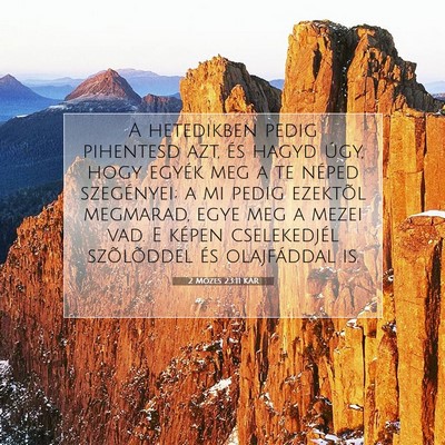 Picture 07 - 2 Mózes 23:11 KAR - A hetedikben pedig pihentesd azt, és hagyd úgy, - Bible Verse Picture