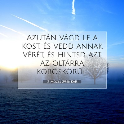 Picture 07 - 2 Mózes 29:16 KAR - Azután vágd le a kost, és vedd annak vérét, - Bible Verse Picture