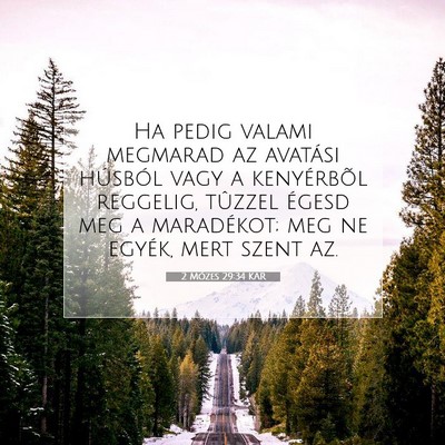 Picture 07 - 2 Mózes 29:34 KAR - Ha pedig valami megmarad az avatási húsból - Bible Verse Picture